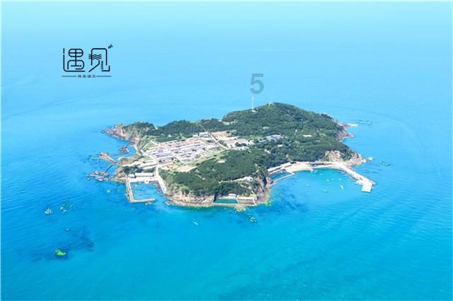 单身狗大作战